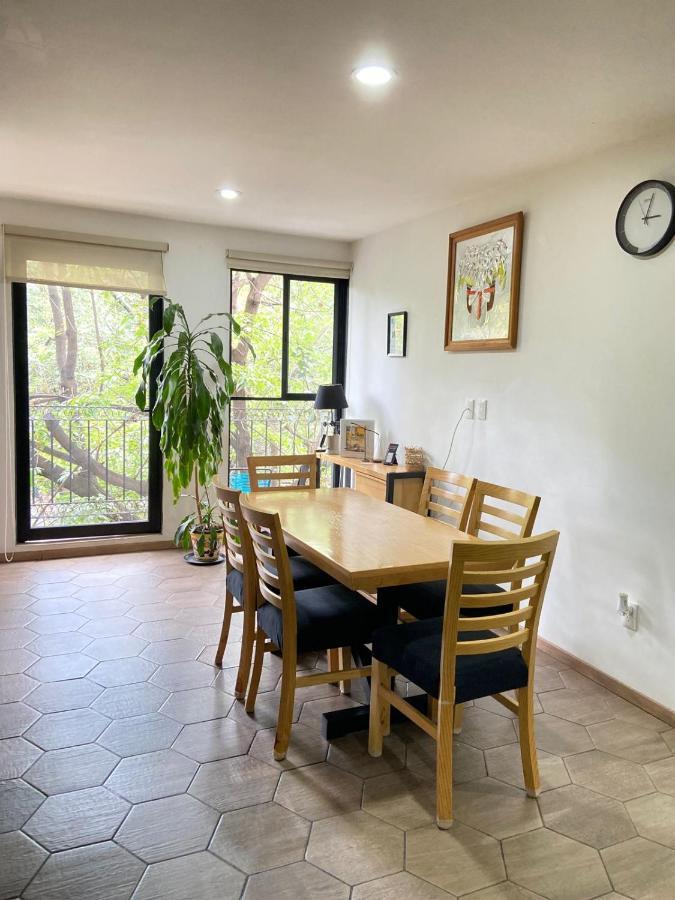 Apartment With Terrace Down Town メキシコシティ エクステリア 写真